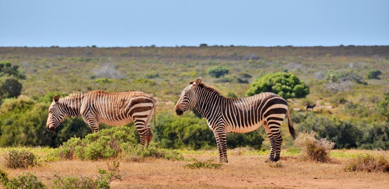 De Hoop Collection - Vlei Cottages De Hoop Nature Reserve Exterior foto