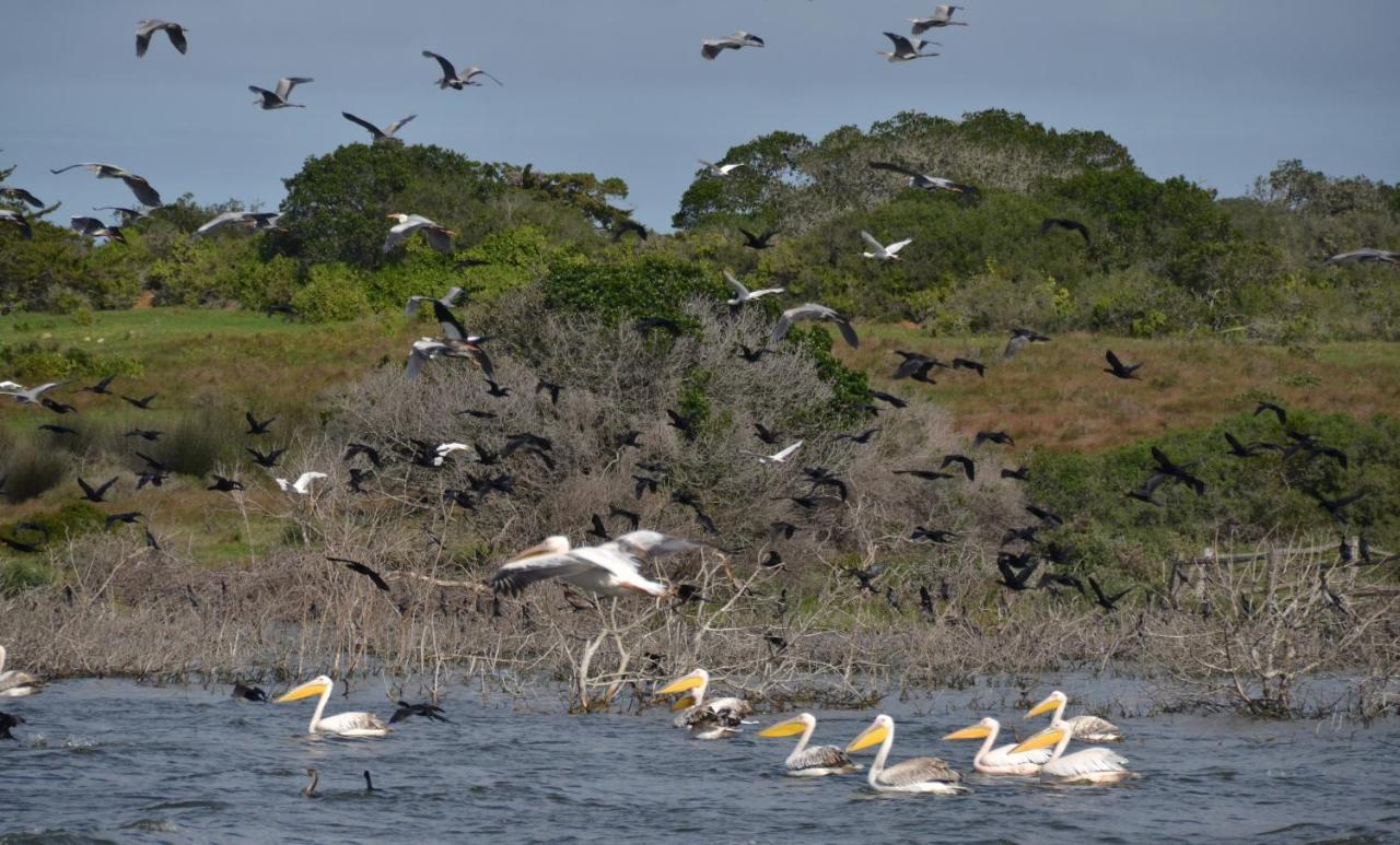 De Hoop Collection - Vlei Cottages De Hoop Nature Reserve Exterior foto